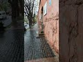 11.11.2023. (11:44) Lviv, Ukraine. Panorama, rain