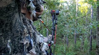 EP. 4- GEORGIA PUBLIC LAND BUCK BEDDING TACTICS, shot opportunity!
