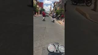 caballitos en degollado jal.