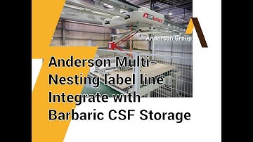 Multiple Anderson Automated Nesting Lines Integrated with Barbaric CSF Storage System