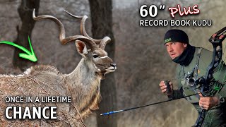 Bow Hunting a ONE in a MILLION African Kudu! | OVER 60 inches!!😳|