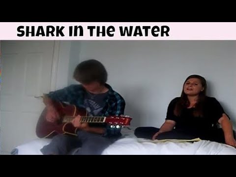 shark in the water acoustic cover