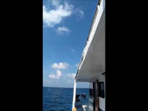 Jumping from Mv.Daranee