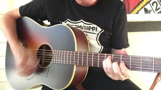 Iris Guitar DF Smeck Model