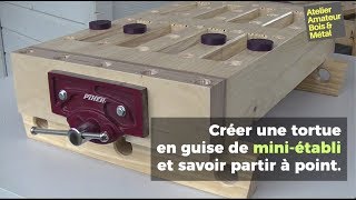 Une tortue en guise de mini établi