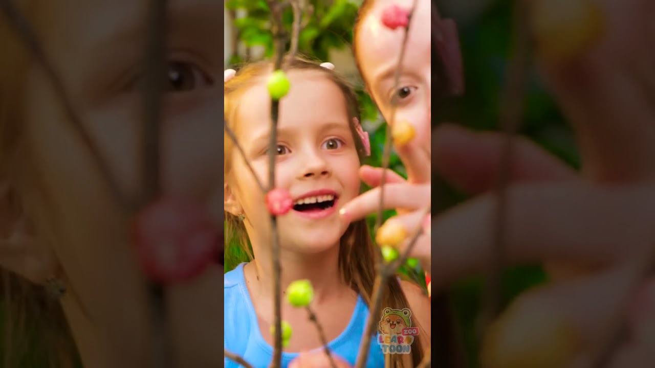 🍿 Can You Believe It? 🌈 Colorful Popcorn Room Decor! 🥳