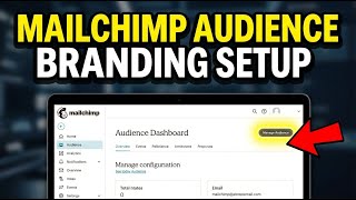 How to setup Mailchimp audience branding with custom design elements - Beginner Guide