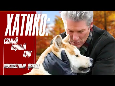 Хатико: Самый верный друг. Неизвестные факты.