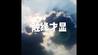 201710 触缘才显22656