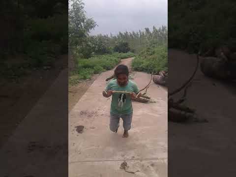 Local fighter