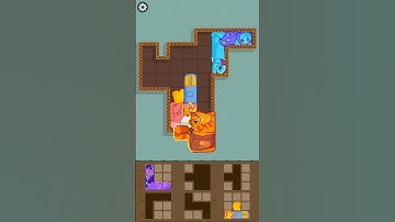 Funny Puzzle Cats 322 #shorts