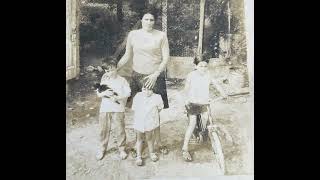 Les secrets de l'immigration portugaise