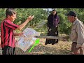 Disaster on the Farm: Mehrdad and Leila Can't Take It Anymore