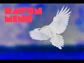 RAVEN MINE - Naoya Psychedelics RAVEN BEATS + HERMES SONG, mixed by Jet Honda