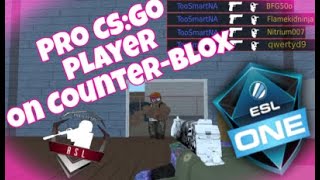 Counter Blox Crosshair Codes - roblox cbro crosshair image id