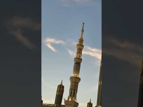 ولقد خلقنا الانسان ونعلم ماتوسوس به نفسه 