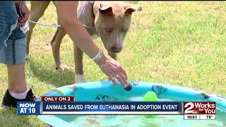 Sapulpa animals saved from euthanasia after adoption event