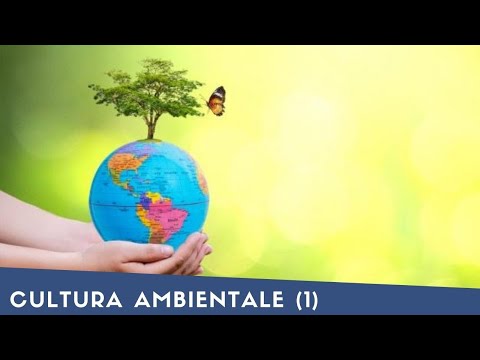 Video: Le piogge acide provocano fioriture algali?