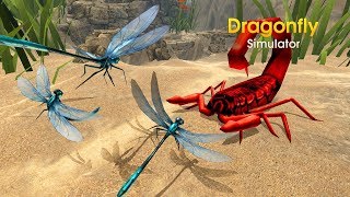 Dragonfly Simulator Android Gameplay HD screenshot 4