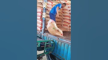 Unloading process of bagged soybean