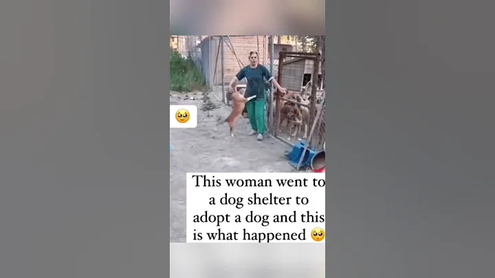 When Puppies CHOOSE You at the Adoption Center 💜 💙