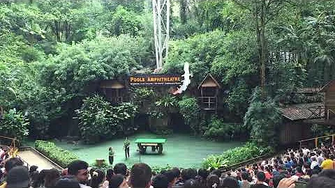 Jurong Bird Park 12:18/22