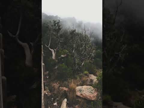 اجواء السودة في ابها ترند ترند السعودية ترند تيك توك سعودية ابها السودة 