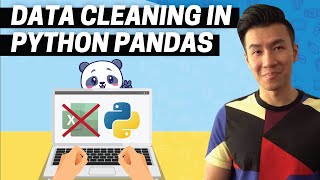 data cleaning in python pandas (beginners data analyst tutorial)