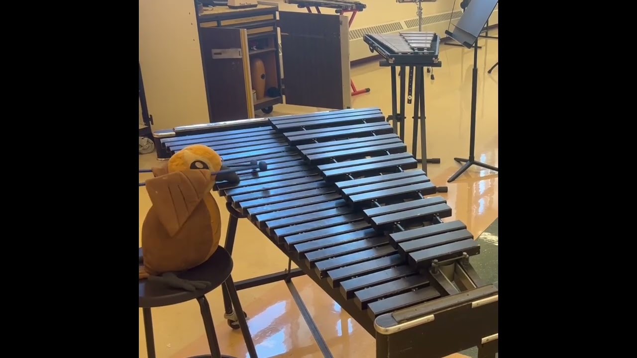 Xenopses CAN play xylophones! (Featuring Xavier, the Xtra-special Xenops!)