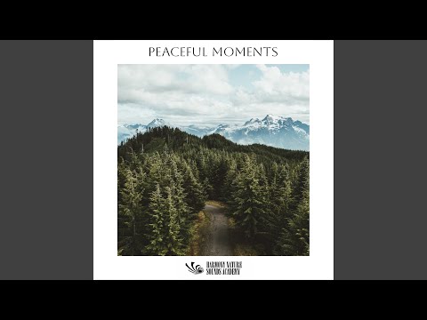 YouTube에서 Pulsing Mindfulness 보기