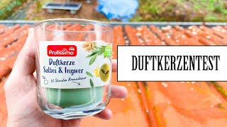 DM Profissimo - Salbei & Ingwer (Duftkerze)