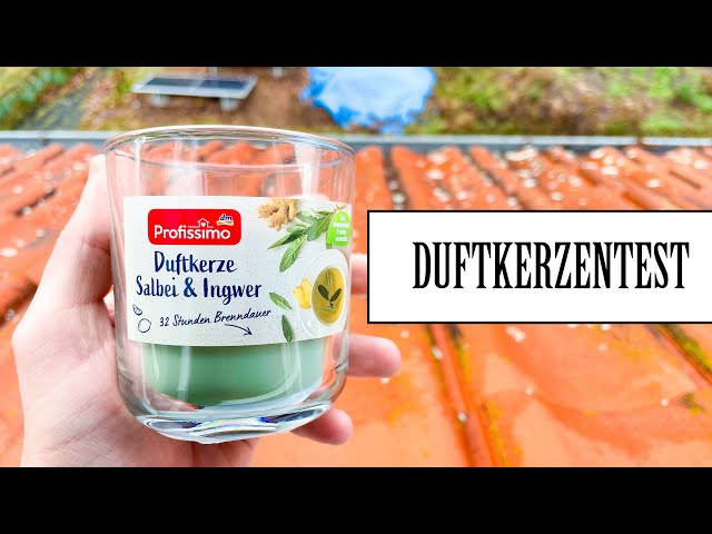 DM Profissimo - Salbei & Ingwer (Duftkerze) | DUFTKERZENTEST