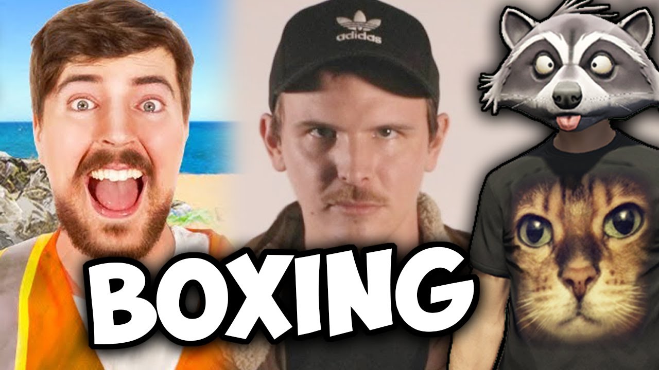 Team Seas, iDubbbz vs RiceGum Boxing Match, Logan Paul Gets Mad