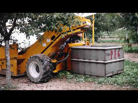 Montmorency Tart Cherry Farm Tour