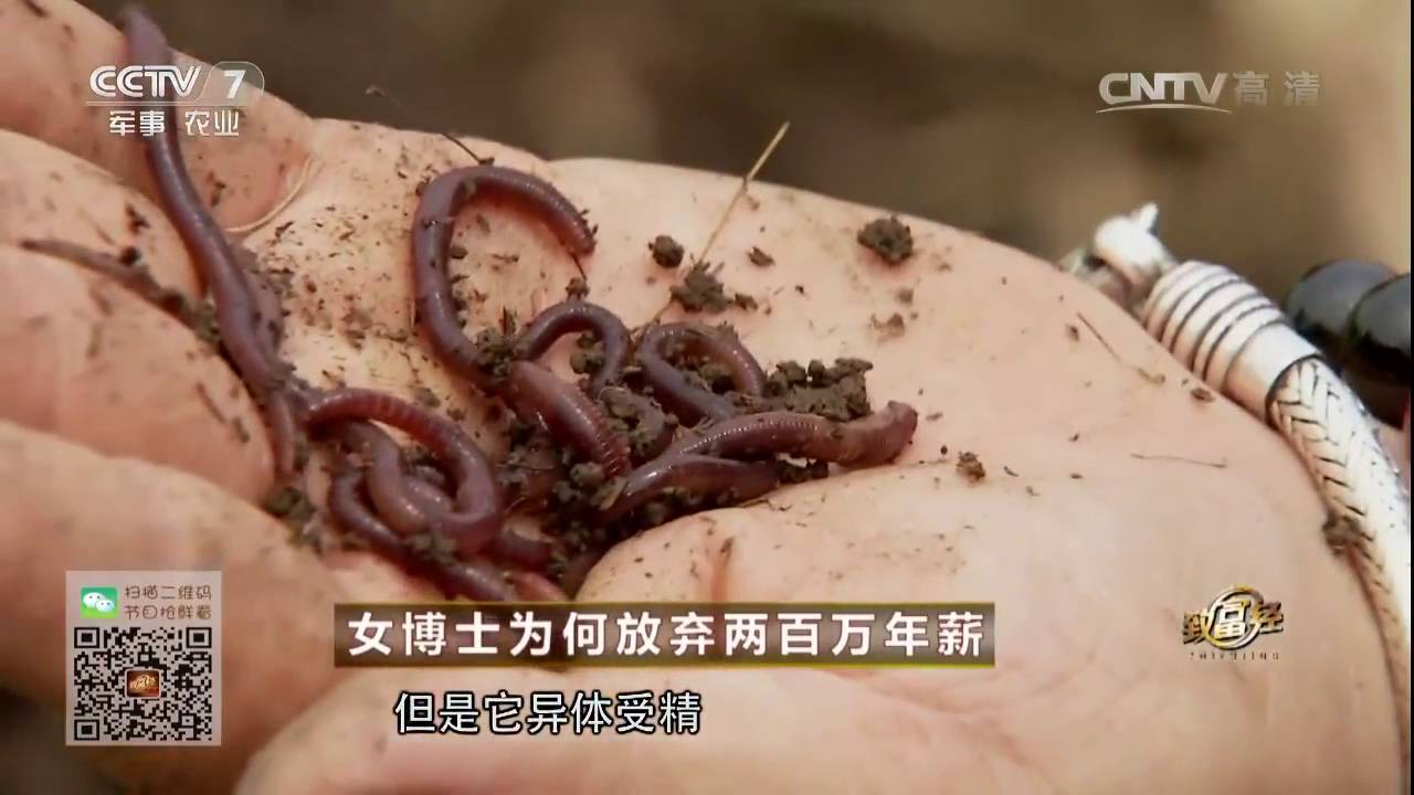 20160823 致富经 女博士为何放弃两百万年薪