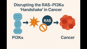 Disrupting the RAS–PI3Kα Handshake -A New Oncology Play