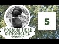 Possum head chronicles series 03 episode 05
