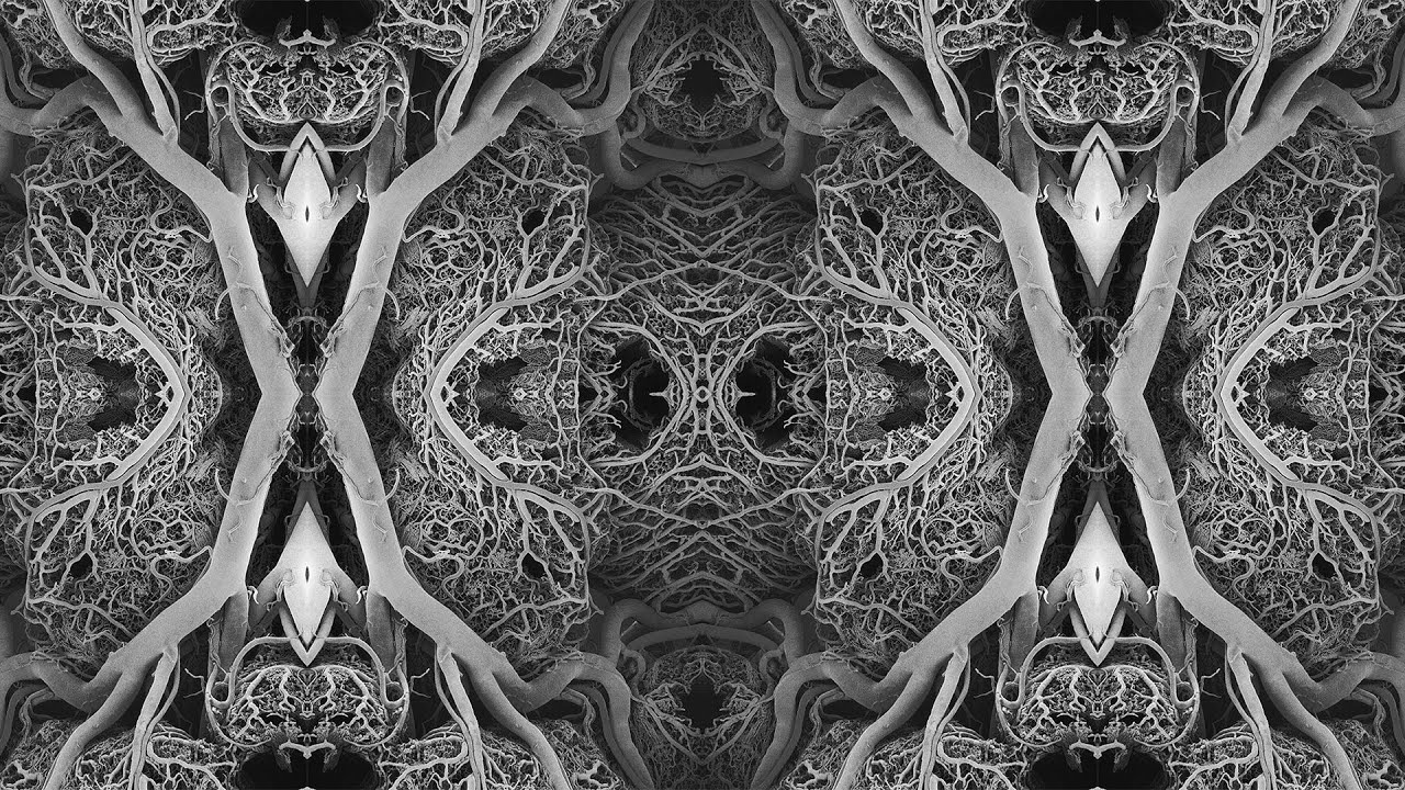 Ver The Pattern - Weep Wave no YouTube Ver The Pattern - Weep Wave no YouTube