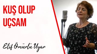 Elif Ömürlü Uyar - Kuş Olup Uçsam Sevgilimin Diyarına