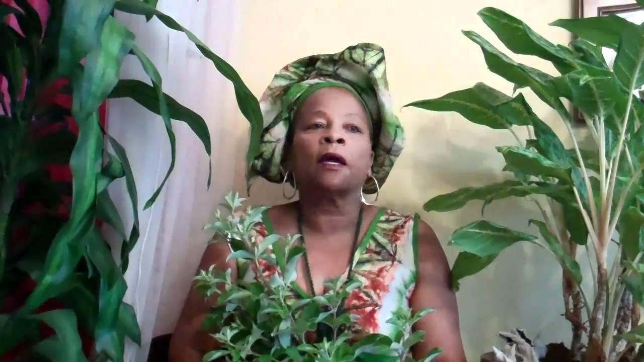 Военное видео 1