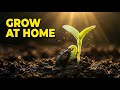 Seed Germination for Beginners 🌱 | How to Start Seeds at Home Step by Step
