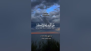 #قرآن #quran #تلاوات #shortvideo #صلاة_التراويح #ramadan #مقطع_ديني #quran_stories #ستوريات_قرآن