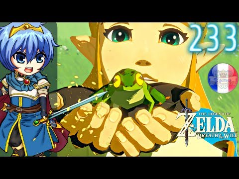 Zelda Breath of the Wild #233 Mange Rey-Wut ?!