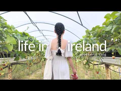 Living in Ireland | Weekend Vlog: Park Walks, Strawberry Picking, Café Lunch & Slow Summer Days 🍓