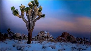 سورة البقرة من الآية  196  إلى الآية  202 {التجويد الميسر}