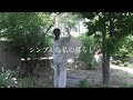 日々の事/これからの暮らし