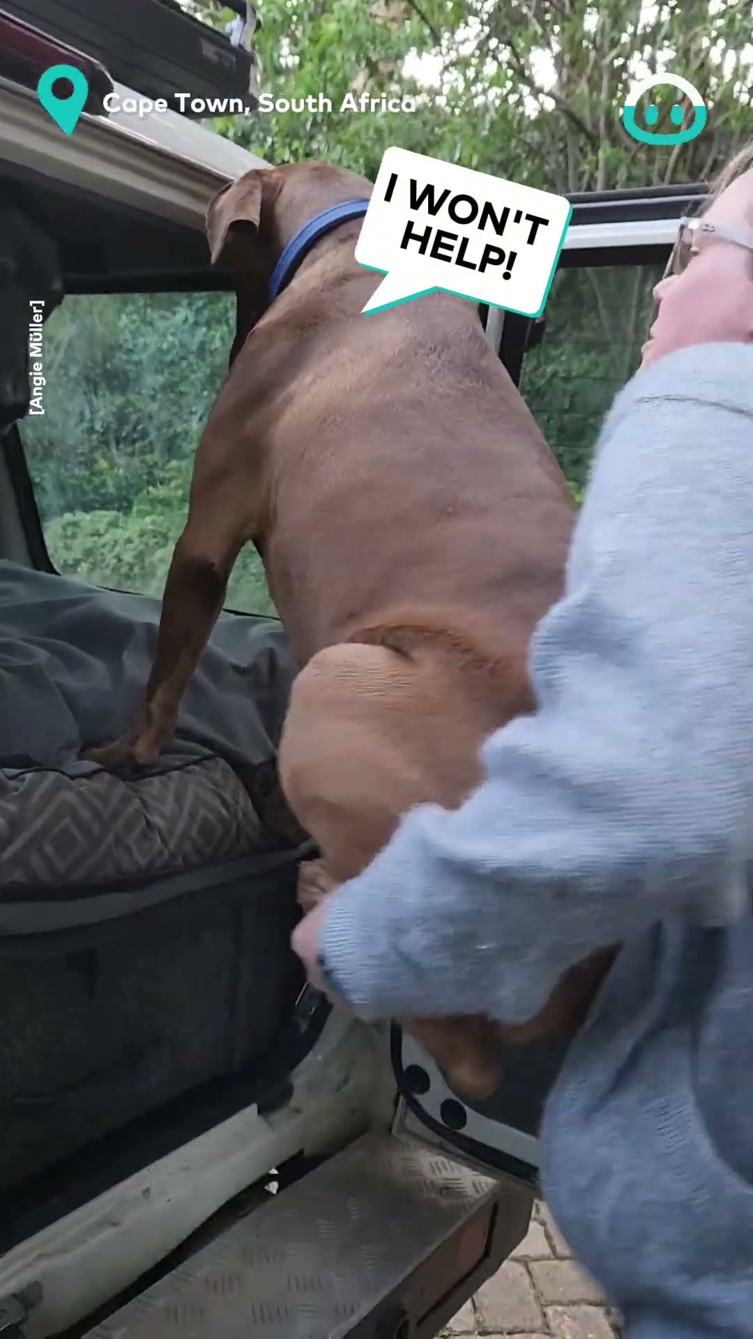 Donut Dog Hates Goodbyes || ViralHog
