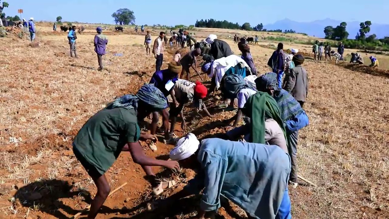 በፋርጣ ወረዳ ግብርና ፅ/ቤት የተፈጥሮ ሀብት በተራሮች ቀበሌ በንቅናቄ