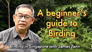 A Beginner's Guide to Birding  Anyone can go Birding!