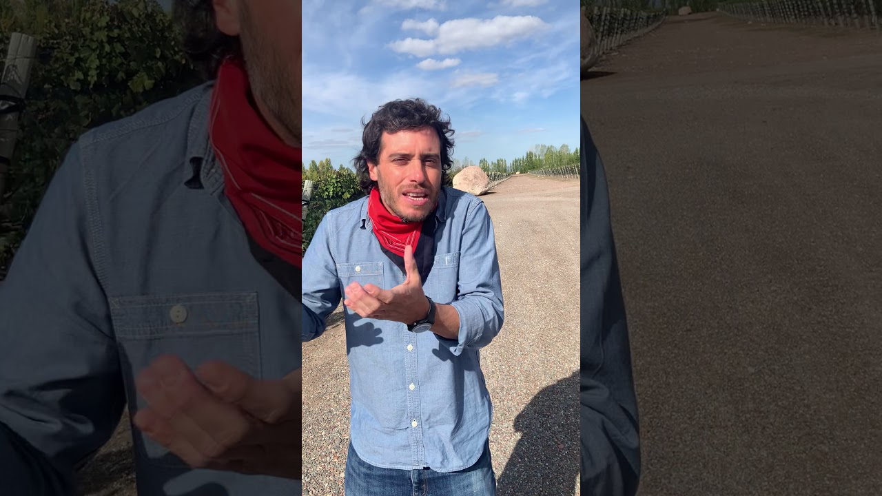 Can you lick rocks? Experience it in Uco Valley Terroir with winemaker Sebastian Zuccardi